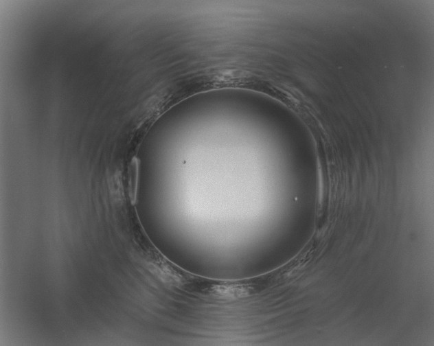 X0000061100520200511241619