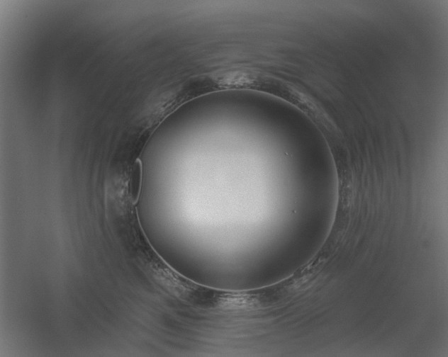 X0000061100521200511241619