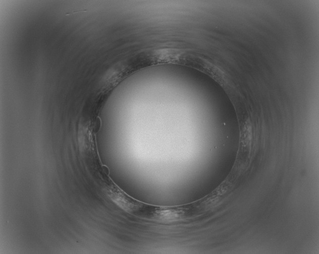X0000061100522200511241619