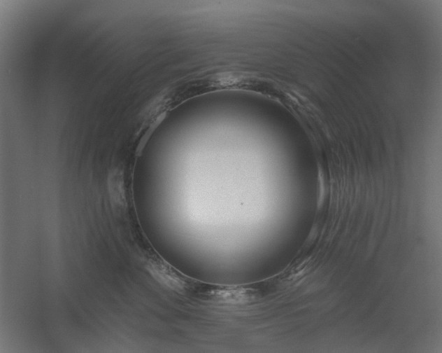 X0000061100524200511241619
