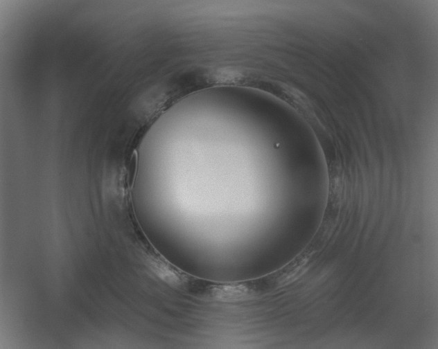X0000061100525200511241619