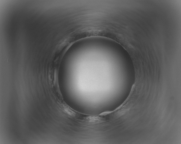 X0000061100528200511241619