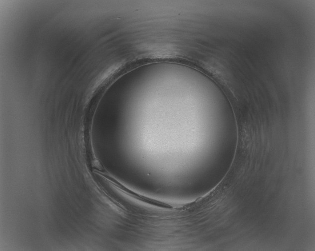 X0000061100535200511241619