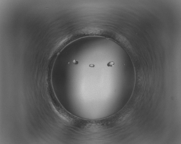 X0000061100538200511241619