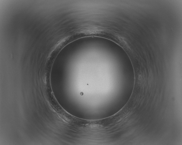 X0000061100539200511241619