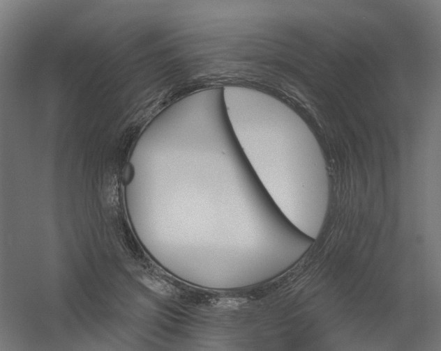 X0000061100549200511241619