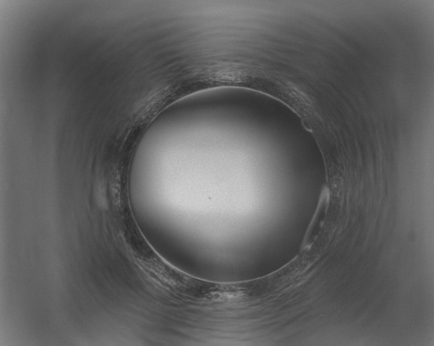 X0000061100552200511241619