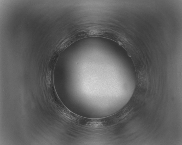 X0000061100554200511241619
