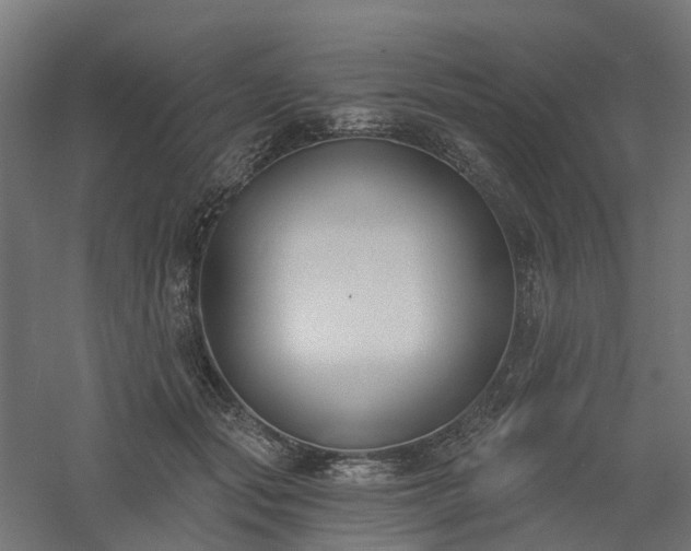 X0000061100557200511241619