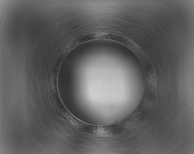 X0000061100565200511241619