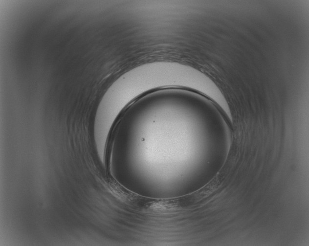 X0000061100568200511241619