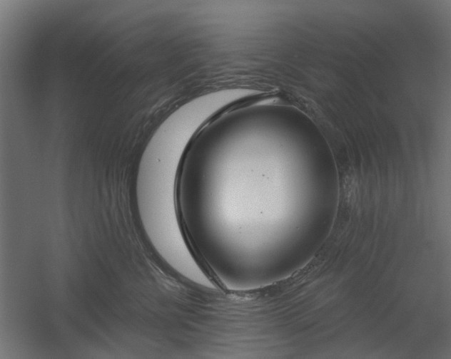 X0000061100570200511241619