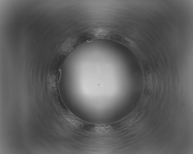X0000061100571200511241619
