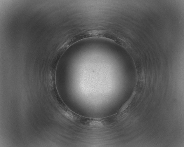 X0000061100572200511241619