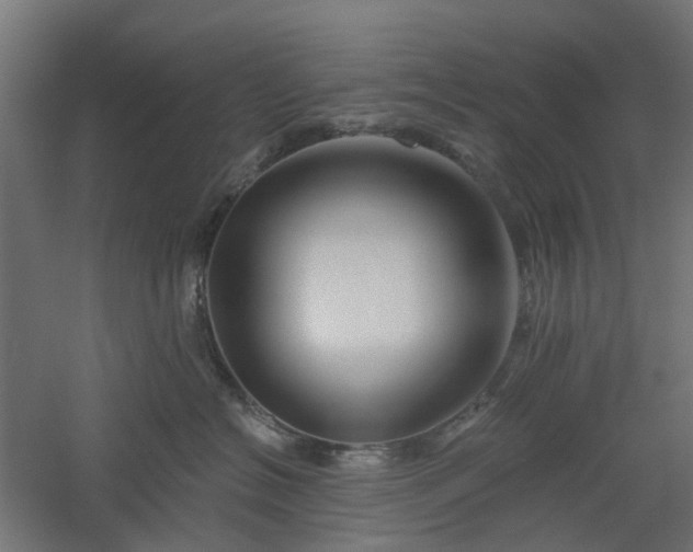 X0000061100574200511241619