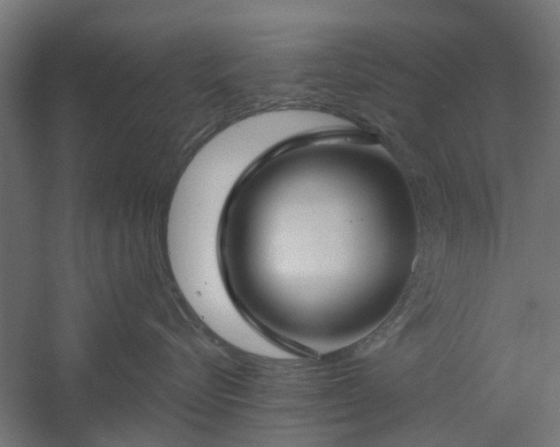 X0000061100576200511241619