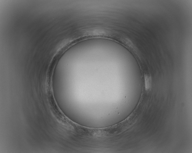 X0000061100579200511241618