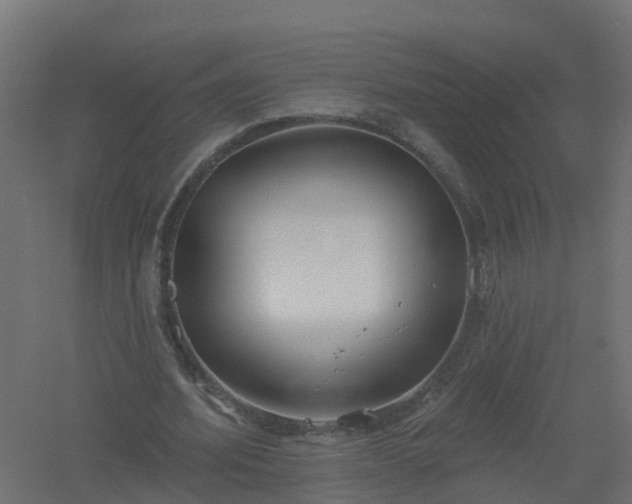 X0000061100580200511241618