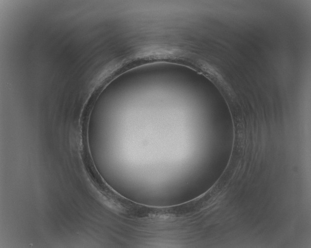 X0000061100582200511241618