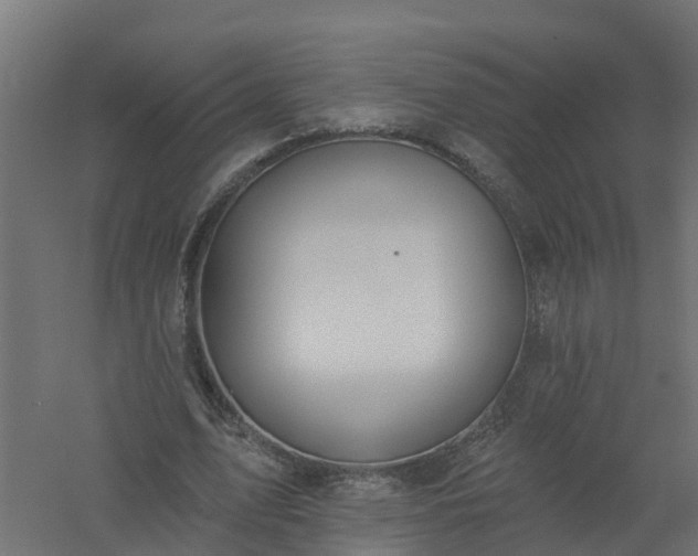 X0000061100583200511241618