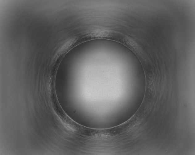 X0000061100586200511241618