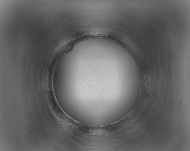 X0000061100587200511241618