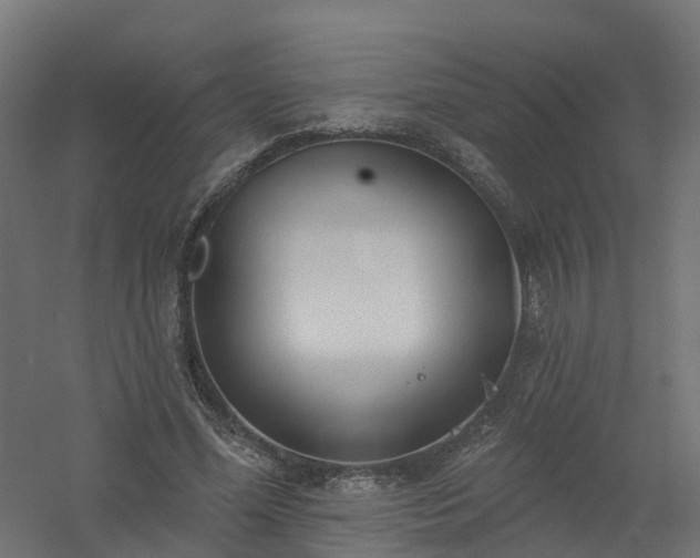 X0000061100588200511241618