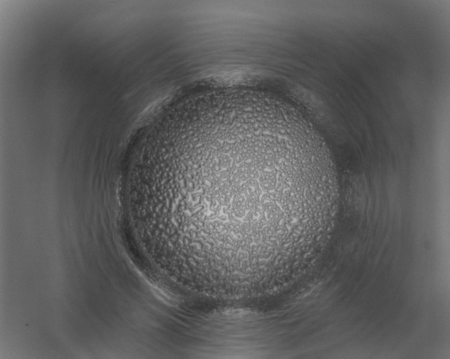 X0000061100590200511241618