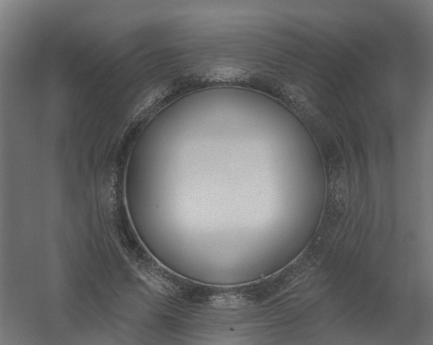 X0000061100591200511241618