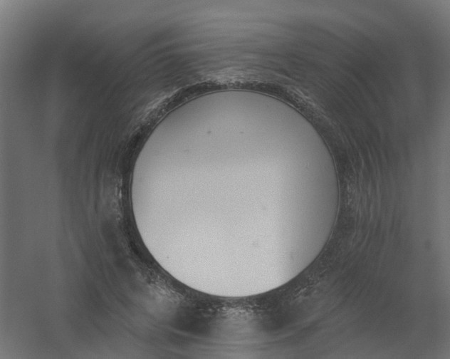 X0000061100592200511241618