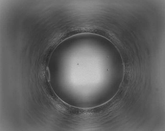 X0000061100593200511241618