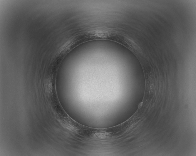 X0000061100595200511241618