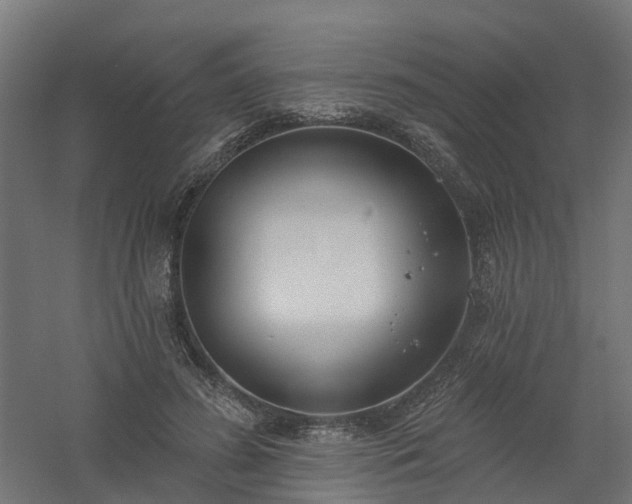 X0000061100596200511241618