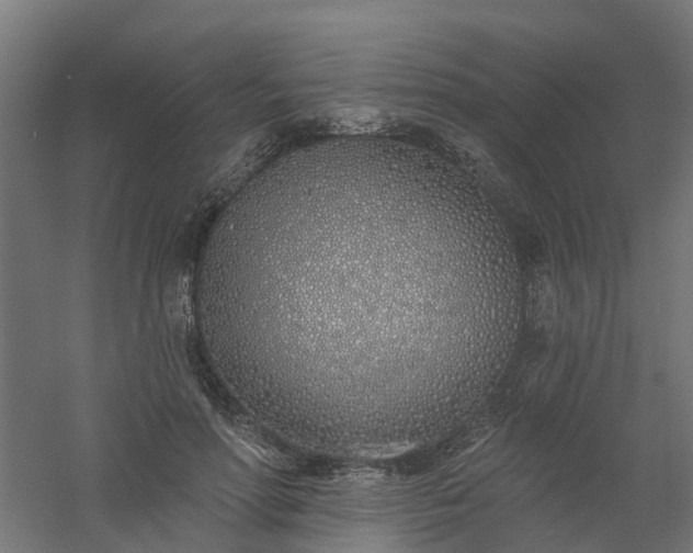 X0000061100598200511241618
