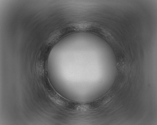 X0000061100599200511241618