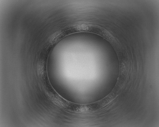 X0000061100600200511241618