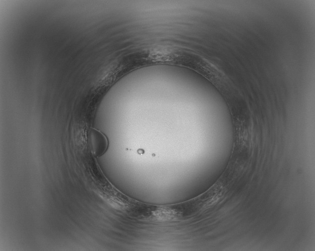 X0000061100603200511241618