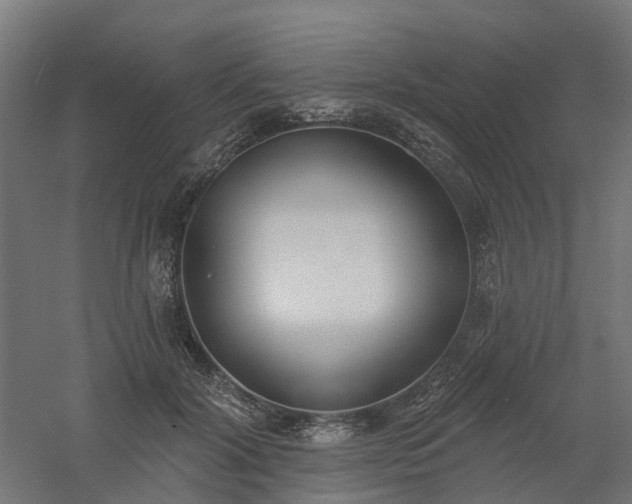 X0000061100604200511241618