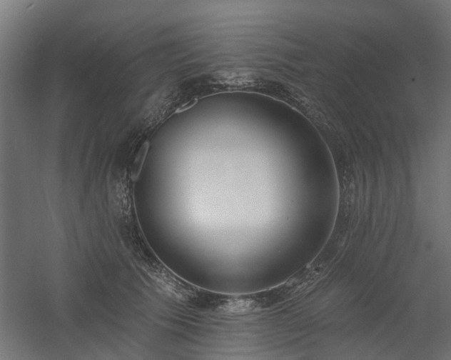 X0000061100609200511241618