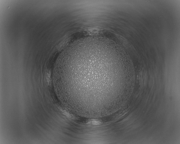 X0000061100610200511241618