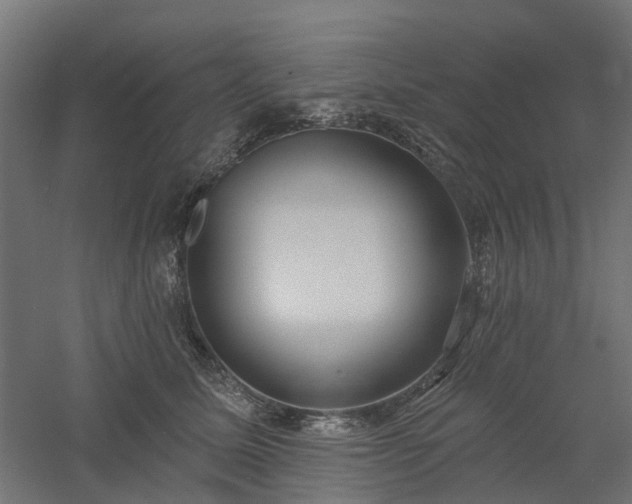 X0000061100611200511241618