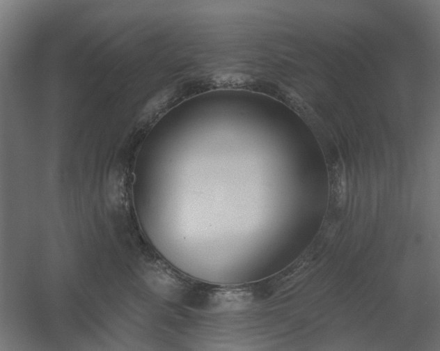 X0000061100619200511241618