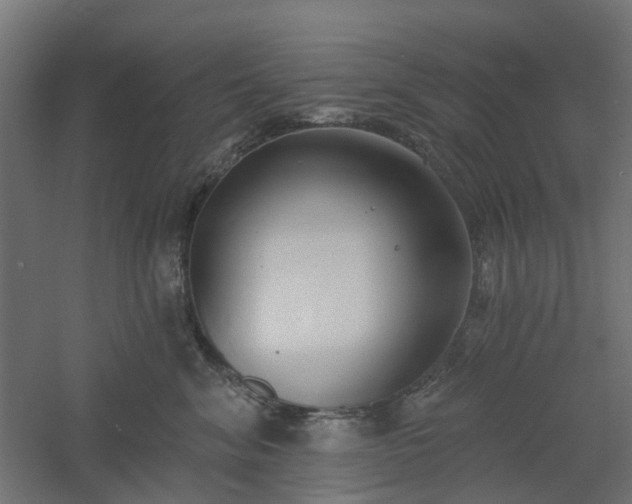 X0000061100620200511241618