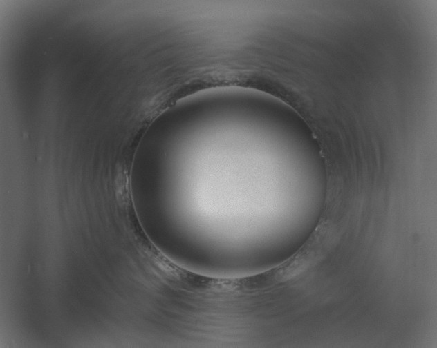 X0000061100624200511241618