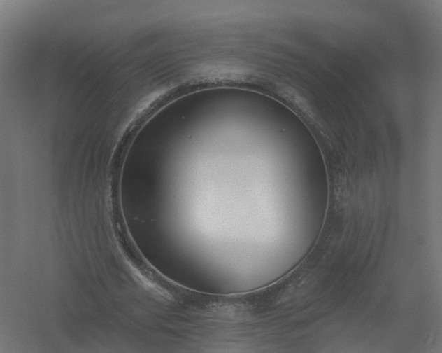 X0000061100629200511241617