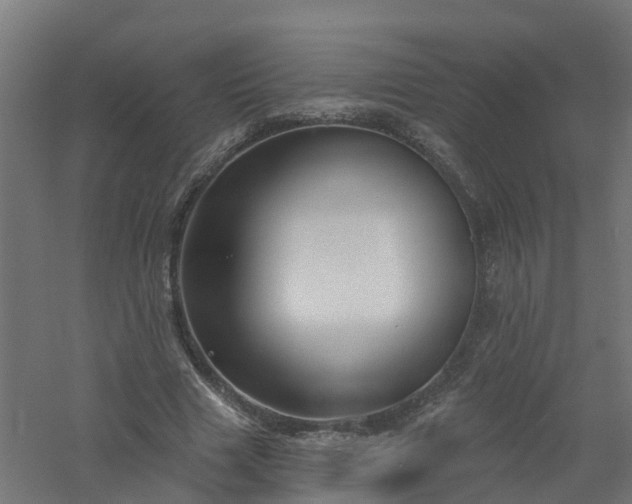 X0000061100633200511241617