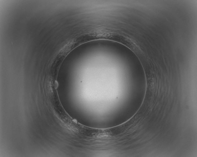 X0000061100643200511241617