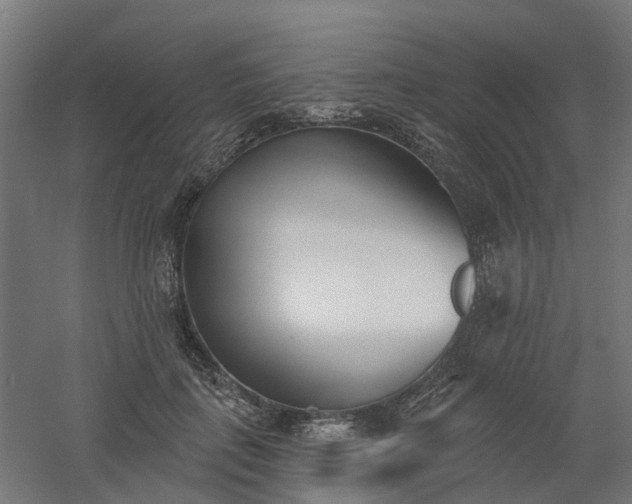 X0000061100651200511241617