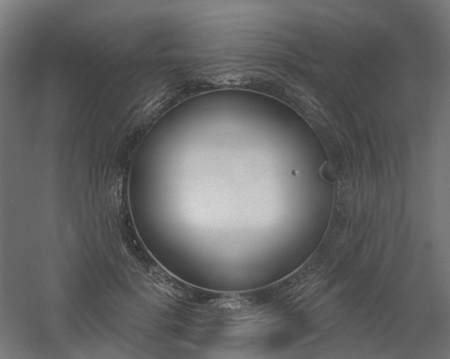 X0000061100652200511241617