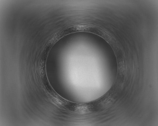 X0000061100653200511241617